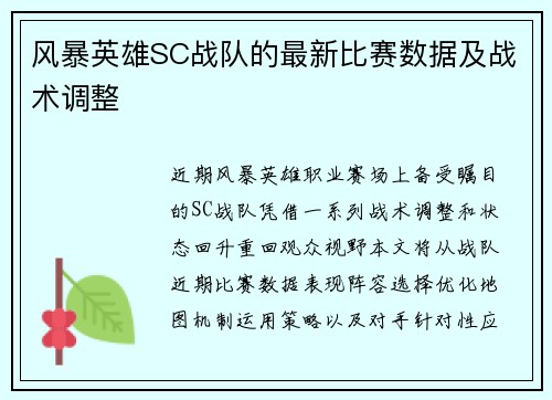 风暴英雄SC战队的最新比赛数据及战术调整